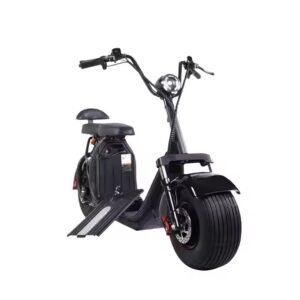 New Citycoco Scooter