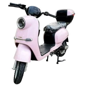 XXG